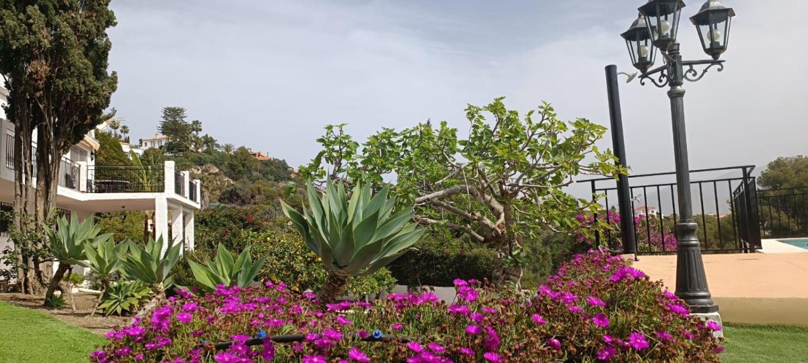 La Torrecica, Con Caracter Andaluz Y Magnificas Vistas Al Mar Y Sierra Nevada Villa Salobrena Bagian luar foto